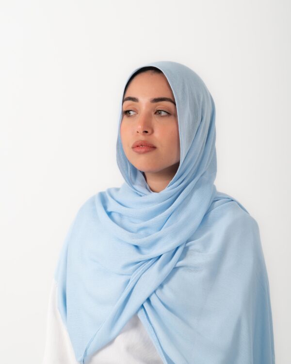 Baby Blue Modal - Image 2